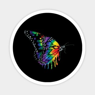 Rainbow Butterfly Magnet